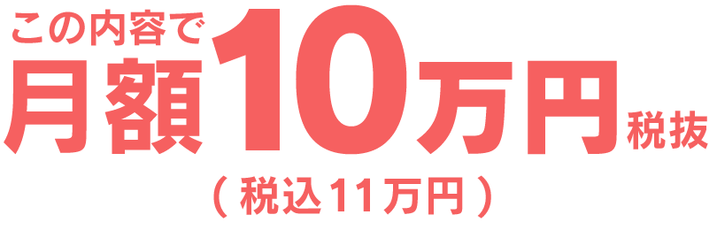 この内容で月額10万円税抜(税込11万円)